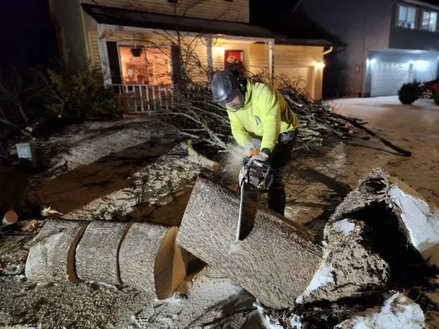 A person in safety gear uses a chainsaw to cut a large fallen tree into sections outside a house at night.
