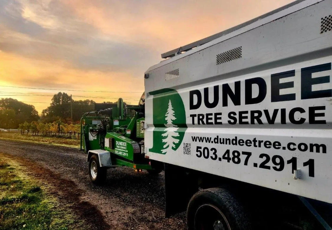 Dundee Tree Service Site Preparation in Wilsonville OR